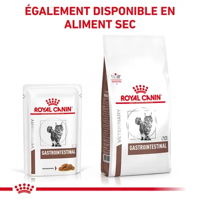 Royal Canin Gastrointestinal pour chat, sachet et sac visibles. Texte en haut : ÉGALEMENT DISPONIBLE EN ALIMENT SEC.