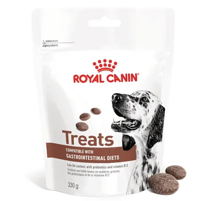 Royal Canin Treats, 230 g. Teksti: Compatible with gastrointestinal diets. Pakkauksessa koiran kuva ja ruskeita makupaloja. Sisältää prebiootteja ja B12-vitamiinia.