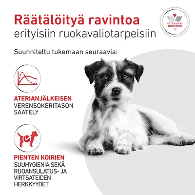 Grafiikka, jossa on koira ja teksti: Aterianjälkeisen verensokeritason säätely, pienten koirien suuhygienia sekä ruoansulatus- ja virtsateiden herkkyydet. Grafiikka, jossa on koira ja teksti: Aterianjälkeisen verensokeritason säätely, pienten koirien suuhygienia sekä ruoansulatus- ja virtsateiden herkkyydet.