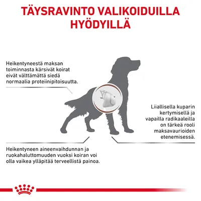 Täysravinto valikoiduilla hyödyillä. Heikentynyt maksan toiminta vaikuttaa proteiinin sietoon, kuparin kertymiseen ja painon ylläpitoon koirilla. Royal Canin -brändi näkyvissä.