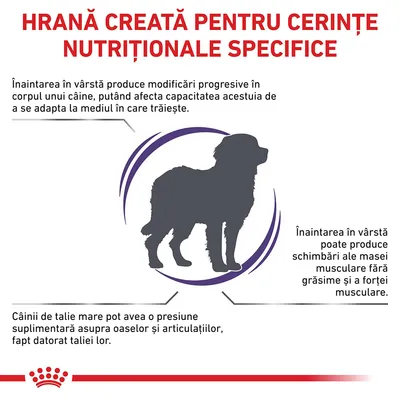Hrană creată pentru cerințe nutriționale specifice. Informații despre modificările produse de înaintarea în vârstă la câini și presiunea suplimentară asupra oaselor la câinii de talie mare.