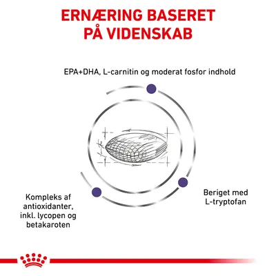 Ernæring baseret på videnskab. EPA+DHA, L-carnitin og moderat fosfor indhold. Kompleks af antioxidanter inkl. lycopen og betakaroten. Beriget med L-tryptofan.