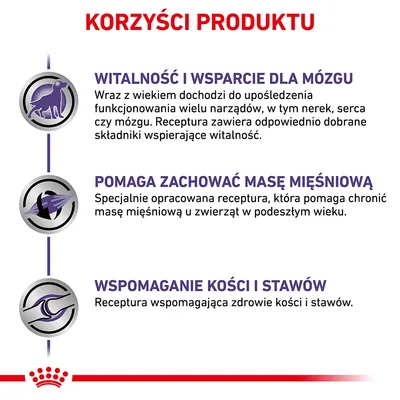 Korzyści produktu: witalność i wsparcie dla mózgu, pomaga zachować masę mięśniową, wspomaganie kości i stawów. Widoczny tekst opisuje działanie receptury.