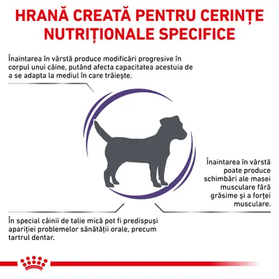 HRANĂ CREATĂ PENTRU CERINȚE NUTRIȚIONALE SPECIFICE. Informații despre efectele înaintării în vârstă la câini și riscul de probleme orale la câinii de talie mică. Siluetă de câine.