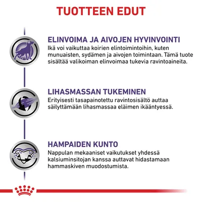 TUOTTEEN EDUT: Elinvoima ja aivojen hyvinvointi, lihasmassan tukeminen, hampaiden kunto. Selitykset jokaiselle edulle näkyvät kuvassa.