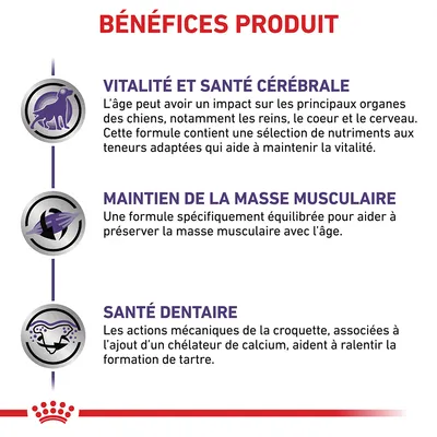 BÉNÉFICES PRODUIT : vitalité et santé cérébrale, maintien de la masse musculaire, santé dentaire. Explications détaillées sur chaque bénéfice visibles dans l’image.