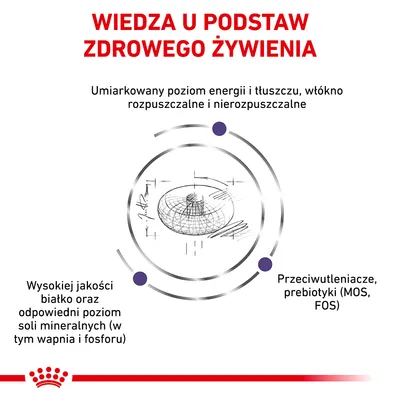 Wiedza u podstaw zdrowego żywienia: umiarkowany poziom energii i tłuszczu, włókno rozpuszczalne i nierozpuszczalne, wysokiej jakości białko, odpowiedni poziom soli mineralnych, przeciwutleniacze, prebiotyki (MOS, FOS)