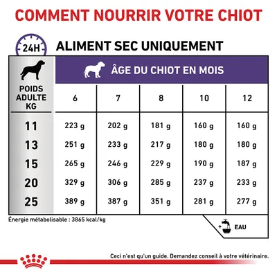 Tableau d’alimentation chiot : poids adulte 11–25 kg, quantités de croquettes par âge (6 à 12 mois), ex. 11 kg à 6 mois : 223 g/jour, 25 kg à 12 mois : 277 g/jour. Eau recommandée.
