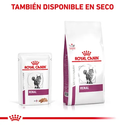 Royal Canin Veterinary Renal para gatos, envase húmedo y seco. Texto visible: 'TAMBIÉN DISPONIBLE EN SECO'. Imagen de gato en ambos envases.