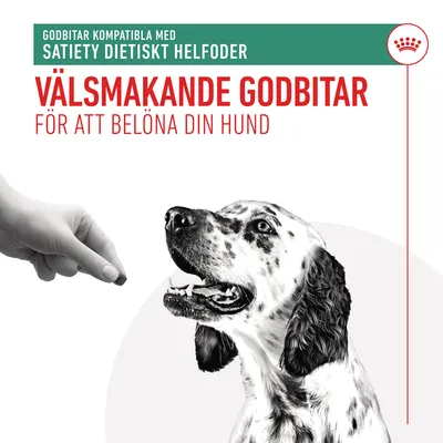 Godbitar kompatibla med Satiety dietiskt helfoder. Välsmakande godbitar för att belöna din hund.