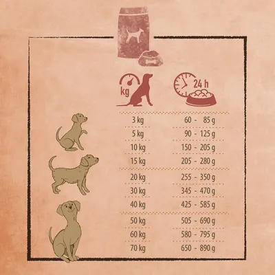 Fütterungsempfehlung für Hunde basierend auf Gewicht: 3kg - 60-85g, 5kg - 90-125g, 10kg - 150-205g, bis 70kg - 650-890g täglich.