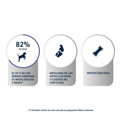 82 % of dogs. El 82 % de los perros mejoran su movilidad en 2 meses. Movilidad de las articulaciones y cuidado del cartílago. Protección ósea. (*) Estudio clínico con perros pequeños.