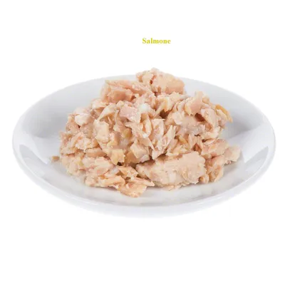 Piatto bianco con pezzi di salmone sminuzzato, testo visibile: Salmone.