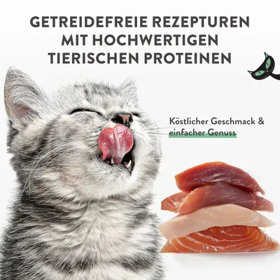 Getreidefreie Rezepturen mit hochwertigen tierischen Proteinen. Köstlicher Geschmack & einfacher Genuss. Abgebildet: Katze und frische Fleischstücke.