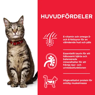 HUVUDFÖRDELAR: E-vitamin och omega-3- och 6-fettsyror för hud och päls, essentiellt taurin för hjärta och njurar, högkvalitativt protein för muskelmassa. Bild på katt med röd halsband.