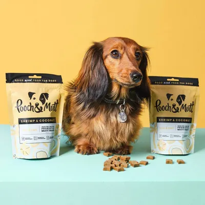 Pooch & Mutt Shrimp & Coconut probiotic meaty treats shown in packaging and as small cube pieces, with a pet demonstrating the product between two treat bags.