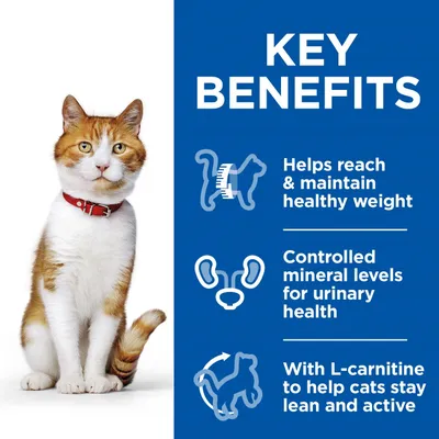 Teksti englanniksi: Helps reach & maintain healthy weight, Controlled mineral levels for urinary health, With L-carnitine to help cats stay lean and active.