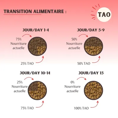 Tableau de transition alimentaire TAO : jours 1–4, 25 % TAO / 75 % nourriture actuelle ; jours 5–9, 50 % TAO / 50 % actuelle ; jours 10–14, 75 % TAO / 25 % actuelle ; jour 15, 100 % TAO.