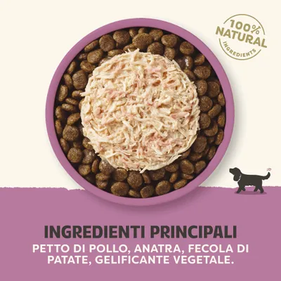 100% componenti naturali. Componenti principali: petto di pollo, anatra, amido di patata, gelificante vegetale. 100% componenti naturali. Componenti principali: petto di pollo, anatra, amido di patata, gelificante vegetale.