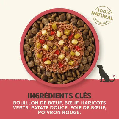 100 % d'ingrédients naturels. Ingrédients principaux : bouillon de bœuf, viande de bœuf, haricots verts, patate douce, foie de bœuf, poivron rouge. 100 % d'ingrédients naturels. Ingrédients principaux : bouillon de bœuf, viande de bœuf, haricots verts, patate douce, foie de bœuf, poivron rouge.