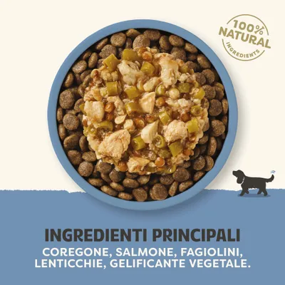 Applaws Taste Toppers in Salsa 12 x 85 g per cani