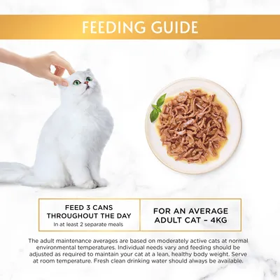 Feeding guide: feed 3 cans throughout the day in at least 2 separate meals for an average adult cat – 4kg. Additional advice on adjusting feeding and water availability is shown.