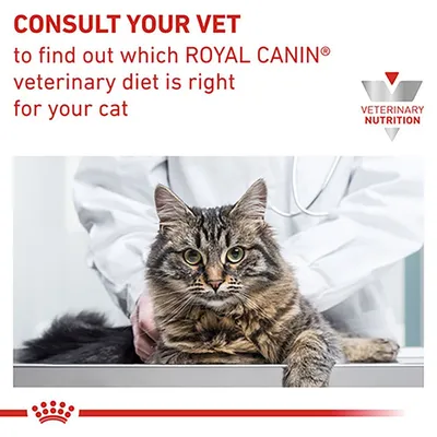 CONSULT YOUR VET to find out which ROYAL CANIN veterinary diet is right for your cat. VETERINARY NUTRITION. Text på engelska, bild på veterinär med katt.