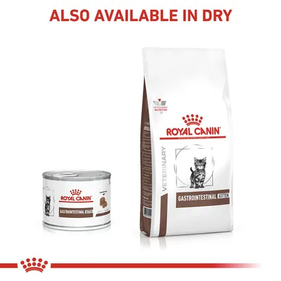 Gastrointestinal kitten food shown in both wet and dry forms, with text stating 'Also available in dry'.