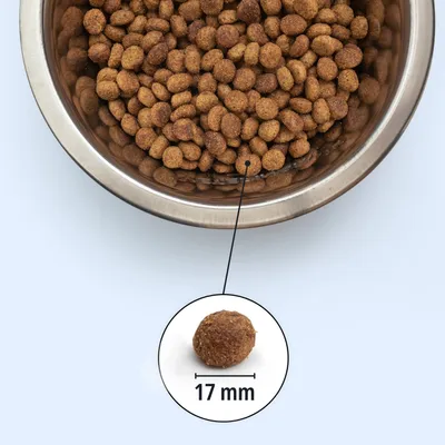 Krokettek rozsdamentes acél tálban, egy krokett részletes nézete, átmérő megjelöléssel: 17 mm.