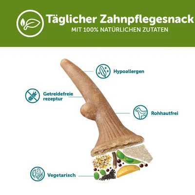 Täglicher Zahnpflegesnack, mit 100% natürlichen Zutaten. Hypoallergen, getreidefreie Rezeptur, rohhautfrei, vegetarisch. Texte en allemand.