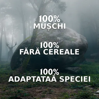 100% MUȘCHI, 100% FĂRĂ CEREALE, 100% ADAPTATĂ SPECIEI – text vizibil pe imagine. Text în limba română.