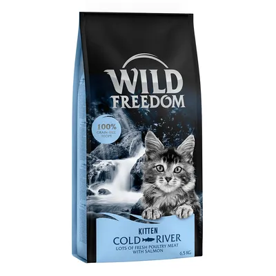 Wild Freedom Kitten Cold River, 100% grain-free recipe, lots of fresh poultry meat with salmon, 6.5 kg bag visible on packaging.