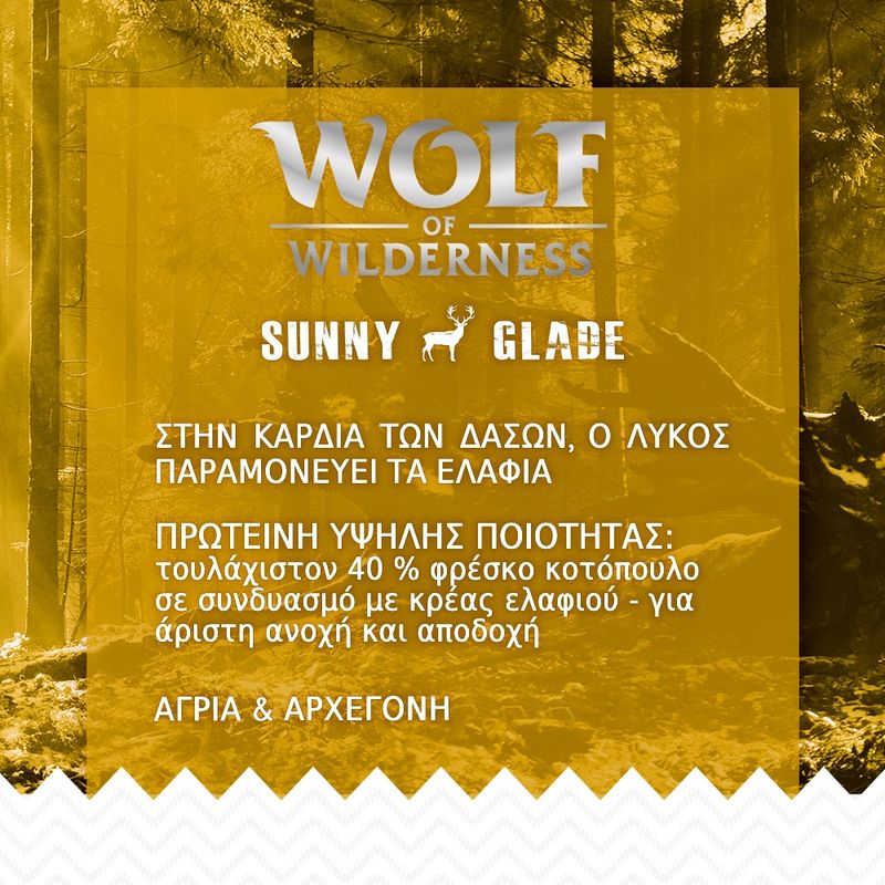 Διπλό Πακέτο Wolf of Wilderness 2 x 12 kg