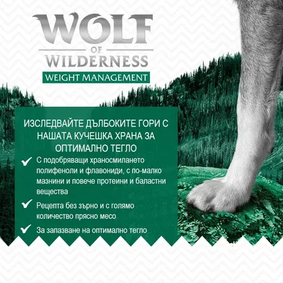 Wolf of Wilderness Weight Management. Изследвайте дълбоките гори с нашата кучешка храна за оптимално тегло: без зърно, повече протеини, по-малко мазнини, голямо количество прясно месо.
