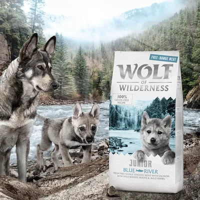 Wolf of Wilderness Junior Blue River. Bezobilná receptura s volně chovaným kuřetem, lososem, lesními plody, kořeny a bylinkami. Balení před říční krajinou.