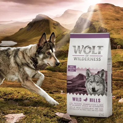 Wolf of Wilderness Wild Hills krmivo pro psy, 12 kg, s čerstvým kuřecím masem a kachnou, lesními plody, kořeny a bylinkami. 100% bez obilovin.