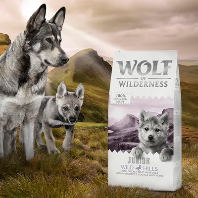 Wolf of Wilderness Junior Wild Hills, ricetta senza cereali con carne fresca di pollo e anatra, frutti di bosco, radici ed erbe. Confezione davanti a paesaggio montano.