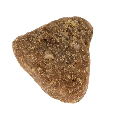 Close-up of a single triangular piece of dry pet food kibble, showing its texture and shape.