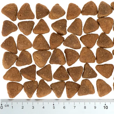 Triangular brown kibble pieces arranged in rows with a ruler below showing each piece is about 2 cm wide, illustrating the size and shape of the product.