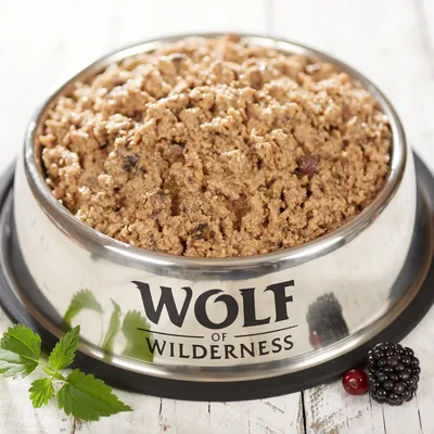 Wolf of Wilderness märkäruoka ruostumattomasta teräskulhosta, koristeltu karhunvatukoilla ja yrteillä. Näkyvä ruoan koostumus.