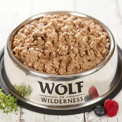Wolf of Wilderness märkäruoka ruostumattomasta teräksestä valmistetussa kulhossa, koristeltu tuoreilla yrteillä, vadelmalla ja mustikalla.