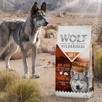 Zak Wolf of Wilderness Soft Wide Acres hondenvoer, 12 kg. Tekst op verpakking: 'with fresh chicken and sweet potato', 'for the strong dog', '100% grain-free recipe'.