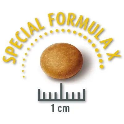 Crocchetta rotonda con testo 'SPECIAL FORMULA X' e scala che indica diametro di 1 cm.