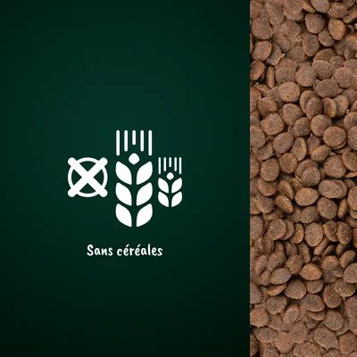 Texte visible : Sans céréales, avec symbole d’épi barré à gauche et croquettes marron à droite. Indique l’absence de céréales dans le produit présenté.