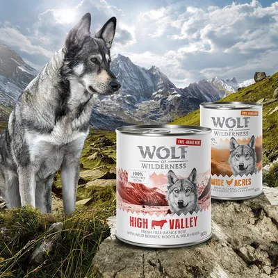 Wolf of Wilderness märkäruoka High Valley vapaana kasvatetulla naudalla ja Wide Acres vapaana kasvatetulla kanalla, 800 g. Viljaton resepti marjoilla, juurilla ja yrteillä.