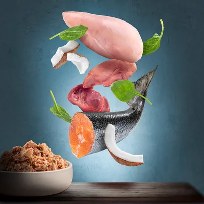 Ingredienti visibili: filetto di pollo, pesce con pelle, fegato, cuore, spinaci, cocco e ciotola con alimento umido sminuzzato su tavolo in legno.