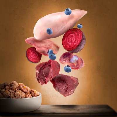 Ingredienser: kyllingebryst, okselever, rødbede, blåbær og kødstykker over en skål med tilberedt dyrefoder.