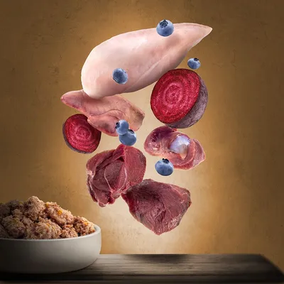 Rå ingredienser: kyllingebryst, oksekød, indmad, rødbede og blåbær svæver over en skål med færdig vådfoder. Alle ingredienser er tydeligt synlige.