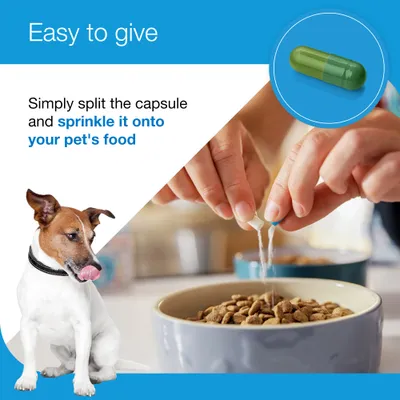 Zylkene Plus Calming Supplement 75mg for Small Dogs or Cats <10kg - 30 Capsules Zylkene Plus Calming Supplement 75mg for Small Dogs or Cats <10kg - 30 Capsules