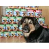 Frodo liebt Rocco